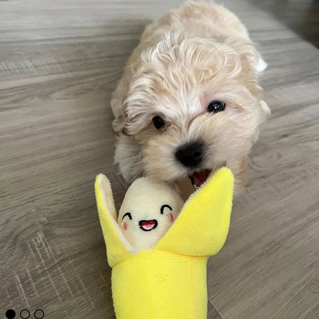 7-Piece Set of Puppy Sound Toys Loose Chewing Pet Chewing Plush Fruit Snacks and Vegetable Combo Toys Suitable for Cute Playm