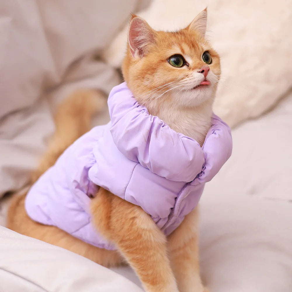 Winter Padded Dog Coat Jacket For Small Medium Dogs Soft Warm Dog Clothes Cute Puppy Vest Pet Outfit