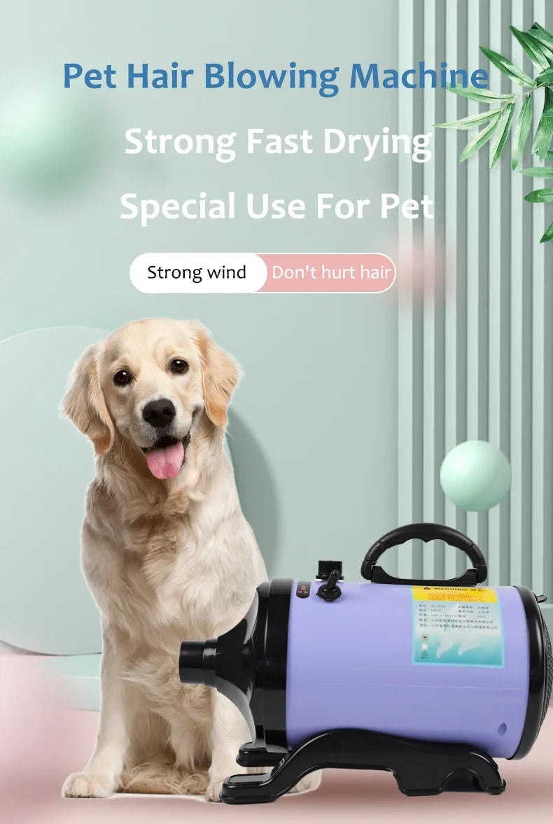 2800W High-power Dogs Hair Dryer Cat Grooming Water Blower Motor Warm Wind Adjustable Blow-Dryer Professional Drier Pet Supplies