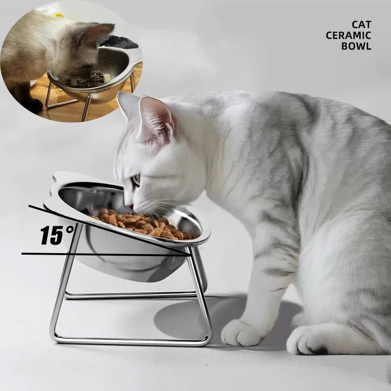 Premium 304 Stainless Steel Raised Cat Bowl with 15° Tilt Neck Guard Shatterproof Healthy Feeding for Senior Cats Kitten Puppy