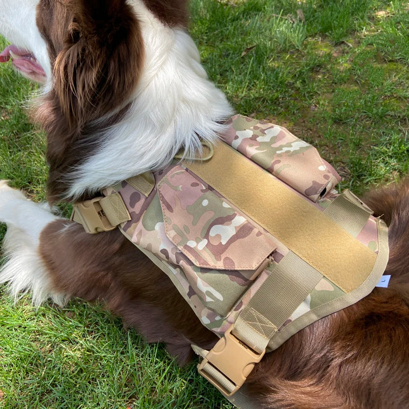 Tactical Dog Harness Adjustable Traning Dog Harness Leash Sets with Storage Bag for Large Dog Control Handle Cat Harness