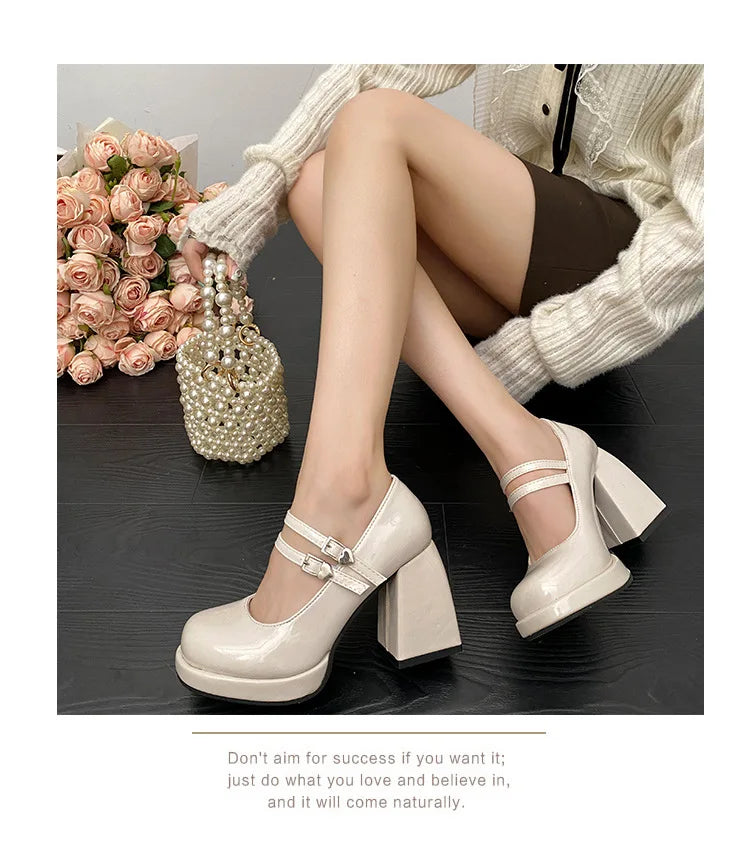 Women Chunky Heels Mary Jane Shoes Princess Spring New Fashion Platform Comfortable Black Soft Anti-slippery Dress Leather Shoes