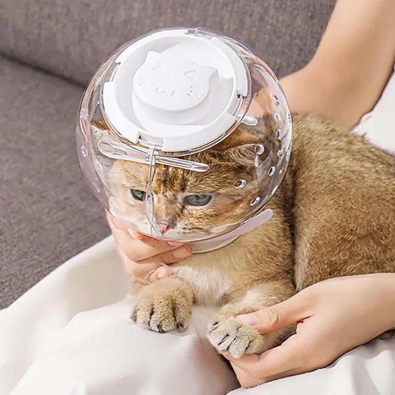 Cat Muzzle With Nail Clippers Trimmer Set Large Cat Astronaut Helmet Cat Grooming Mask Anti Bite Breathable Muzzle For Grooming
