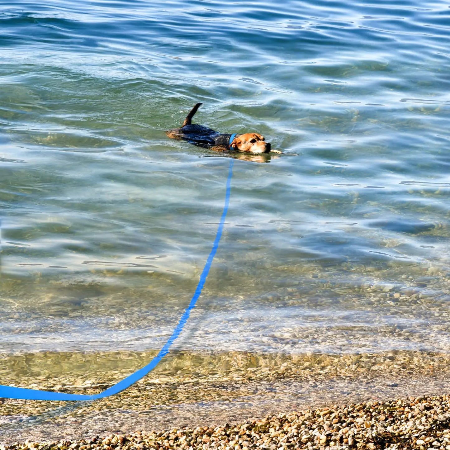 Waterproof Dog Leash PVC Long Dog Training Leash 10 Meters 15m Lead For Dogs Nylon Dog Rope Strong Durable Dog Strap For Dogs