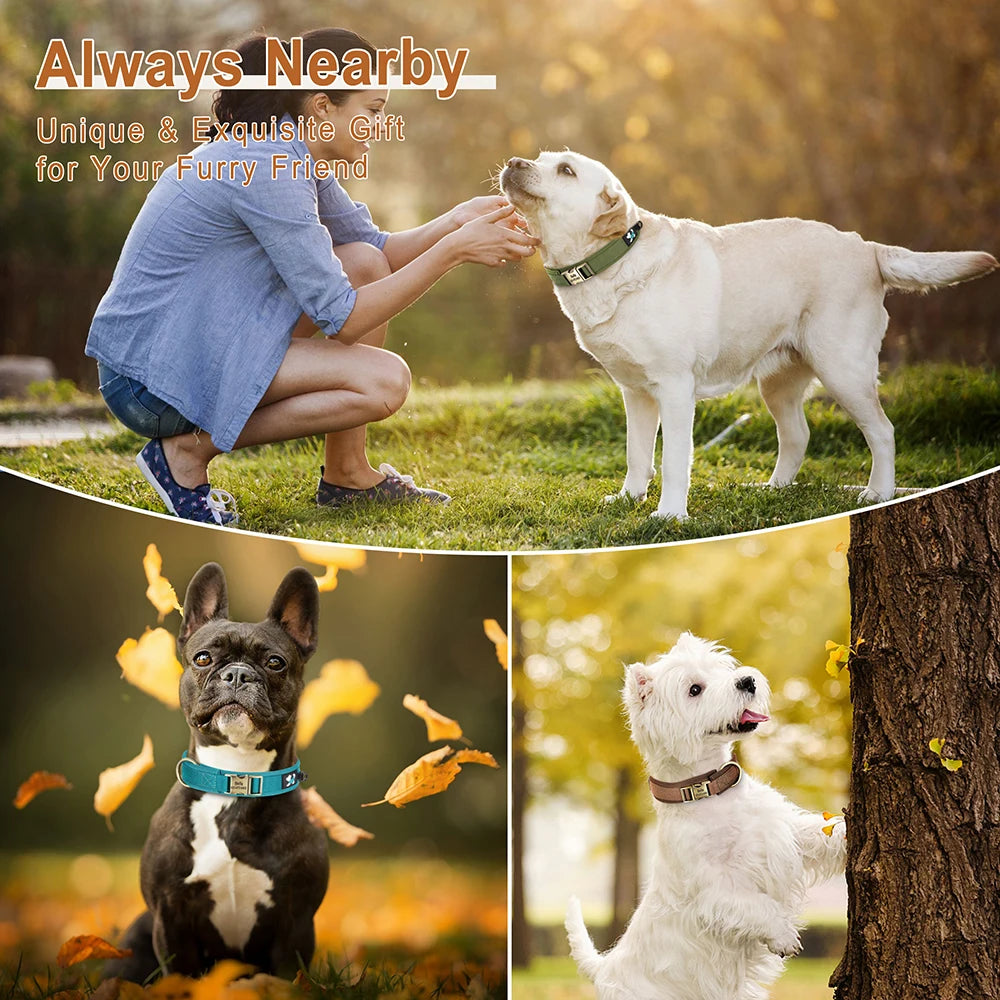 Personalized Nylon Dog Collar Adjustable Dog Collars Customized Pet ID Collar for Small Medium Large Dogs Free Engraving