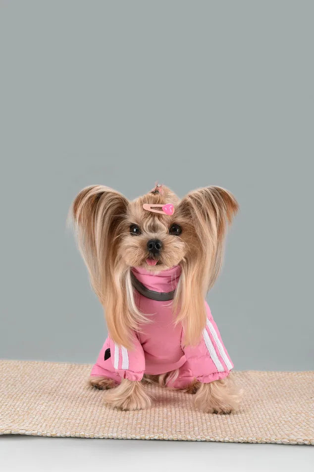Dog Thick Warm Cotton Clothing Pet Outdoor Winter Small Medium Dog Padding Down Parkas Overalls Warm Puppy High Neck Jacket