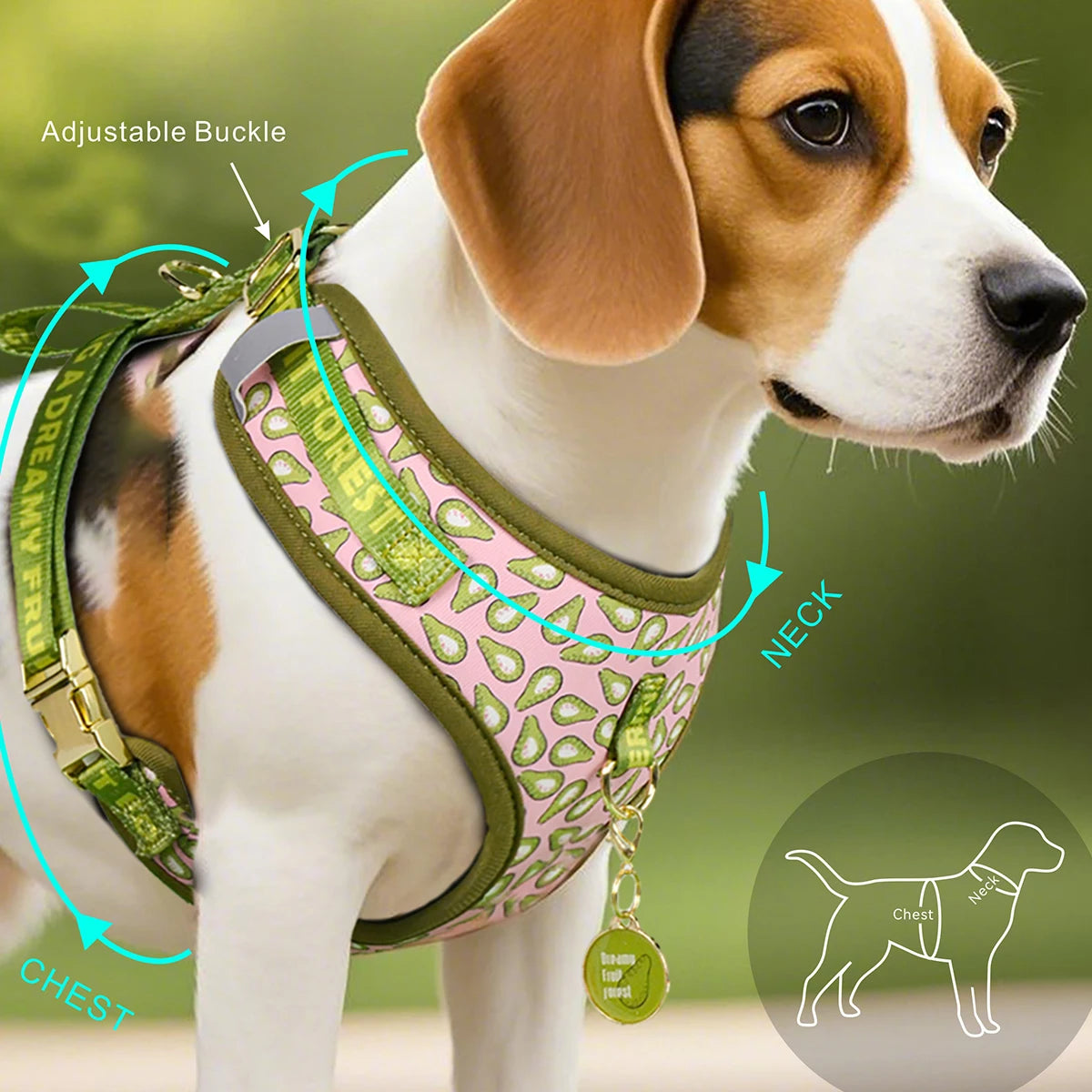 Valentine's Day and New Year's gift Cute Design Adjutable Luxury Designer Pet Harness &1 Pcs Color Matching Pet Dog Leashes