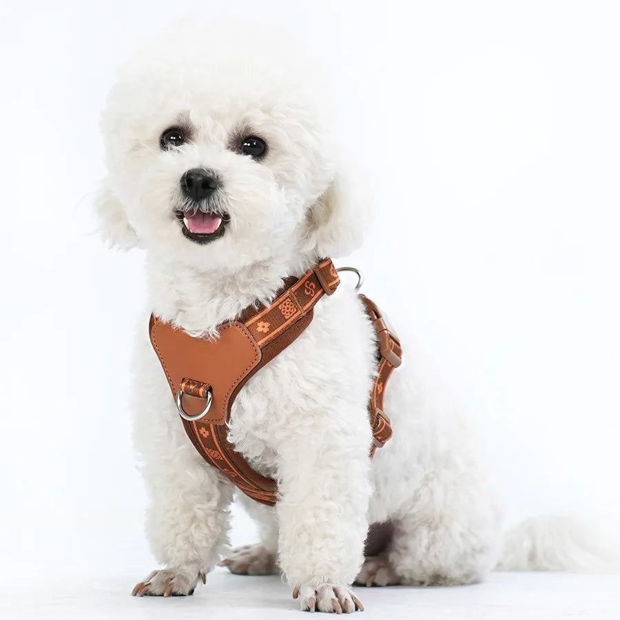 Pet Dog Harness with Durable Webbing  Anti-Deformation Alloy Ring 4 Points Adjustable Breathable Reflective Pet Leash Small Dog
