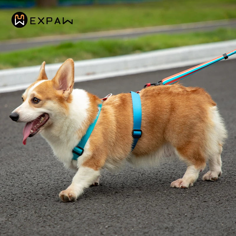 Adjustable Nylon Dog Harness Fashion Chest Vest No Pull Pet Puppy Harness for Small Medium Large Dogs Corgi Dog Supplies