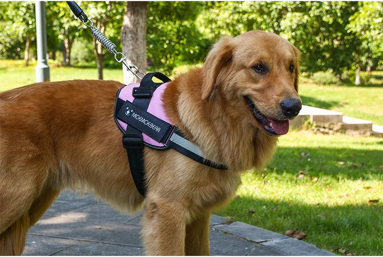 K9 Tactical Dog Harness and Leash Anti-Pull for Golden Retriever Pomeranian Adjustable Pet Walking Rope for Large Dogs