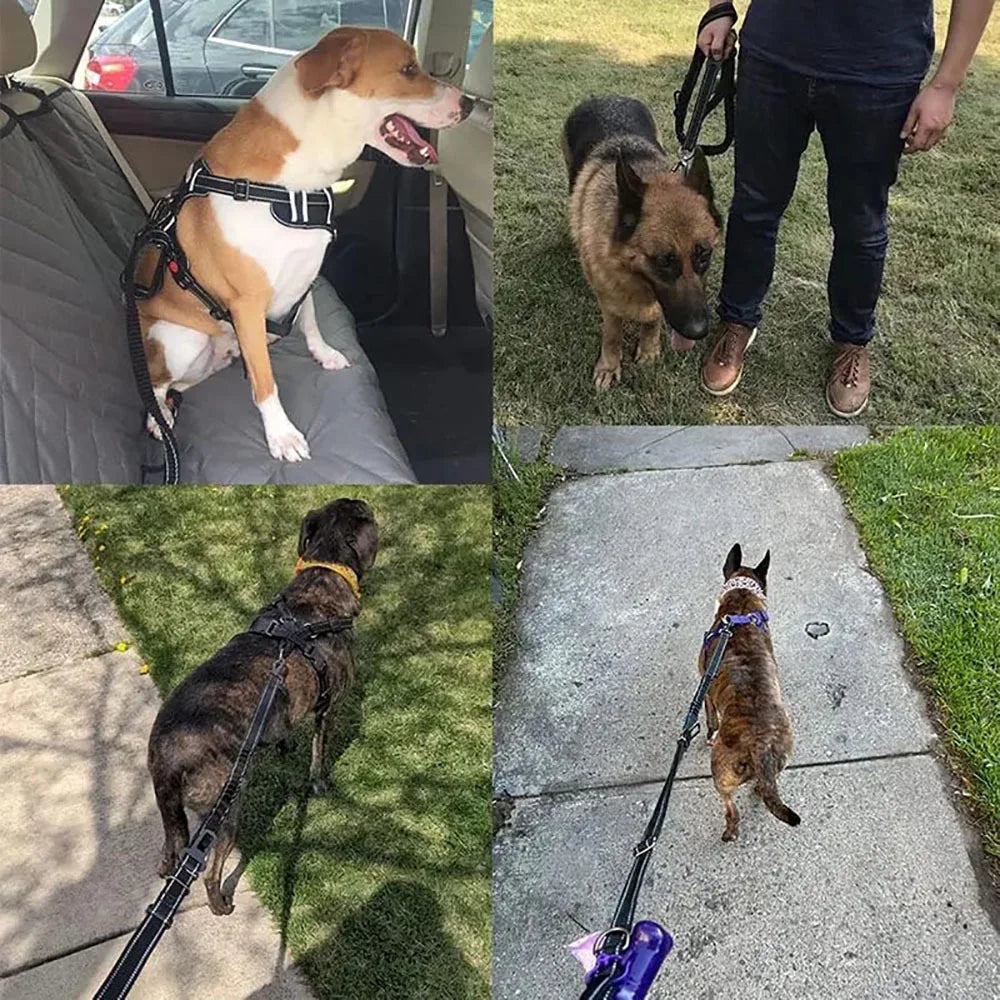 Heavy-Duty Bungee Dog Leash 4-in-1 Multifunctional Training Leash with Car Seat Belt,Dog Accessory, Dog Leash For Medium Dog