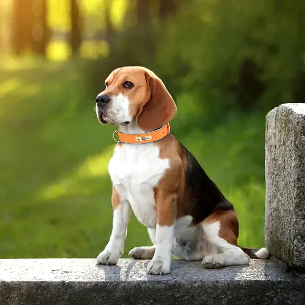 Personalized Dog Collar PU Leather Dog ID Collars Free Engraved Nameplate Adjustable For Small Medium Large Dogs Pitbull