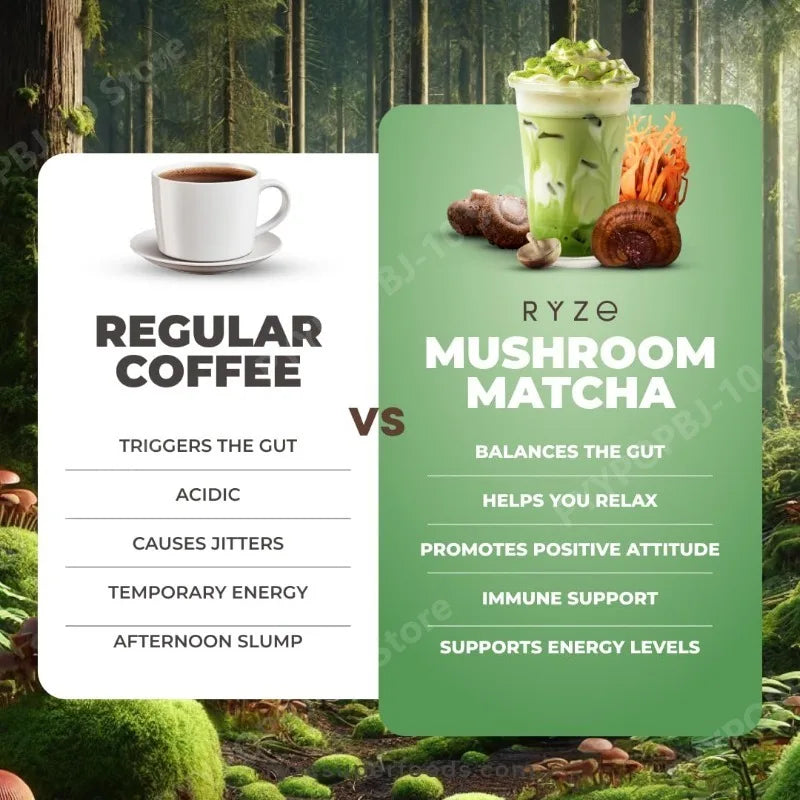 Organic Mushroom Matcha Supplement with Ganoderma Lucidum Lion’s Mane 180g of Natural Nutrients