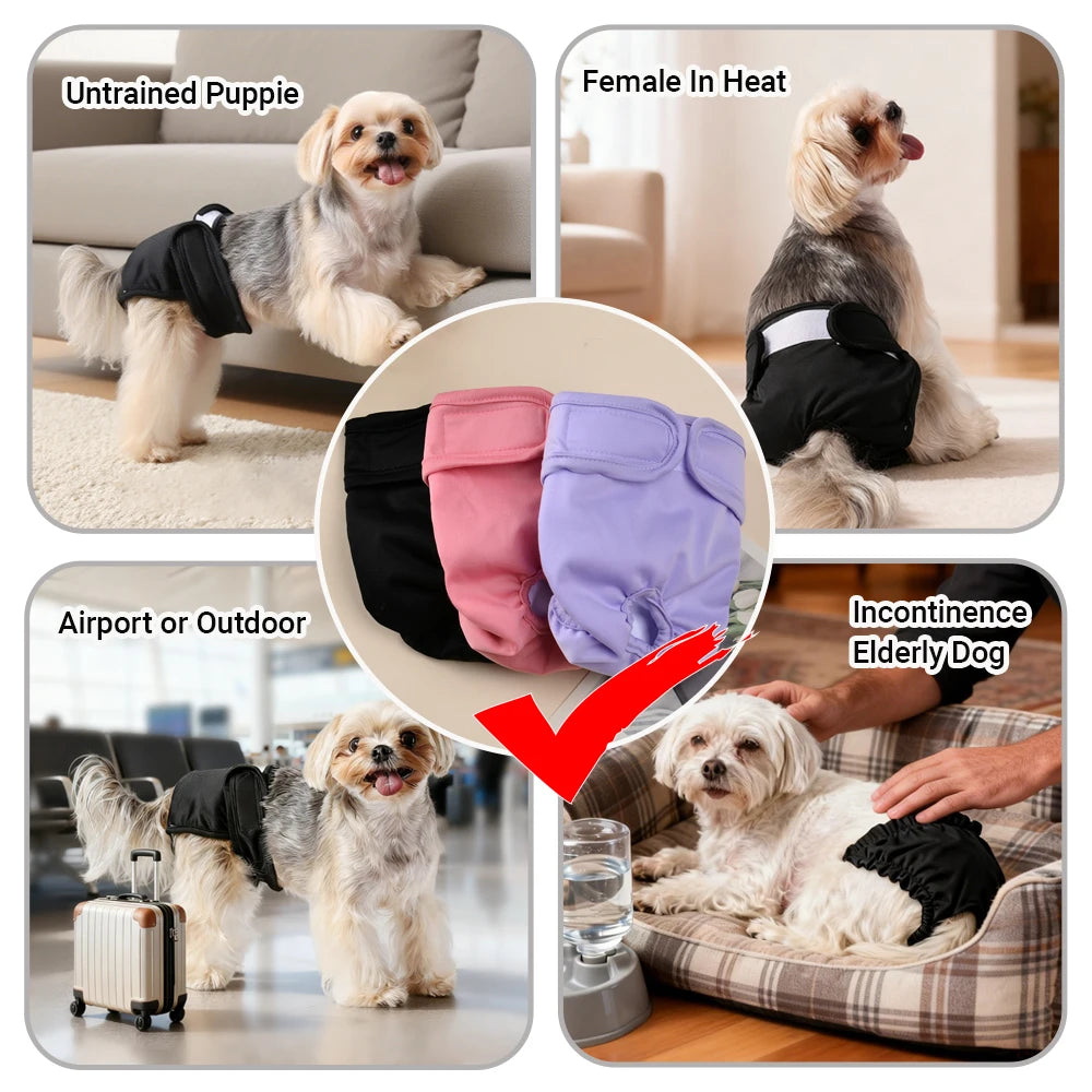 3pcs Female Dog Diapers Washable Reusable Puppy Nappies Physiological Pants Adjustable Pet Sanitary Panties Short for Girl Dogs