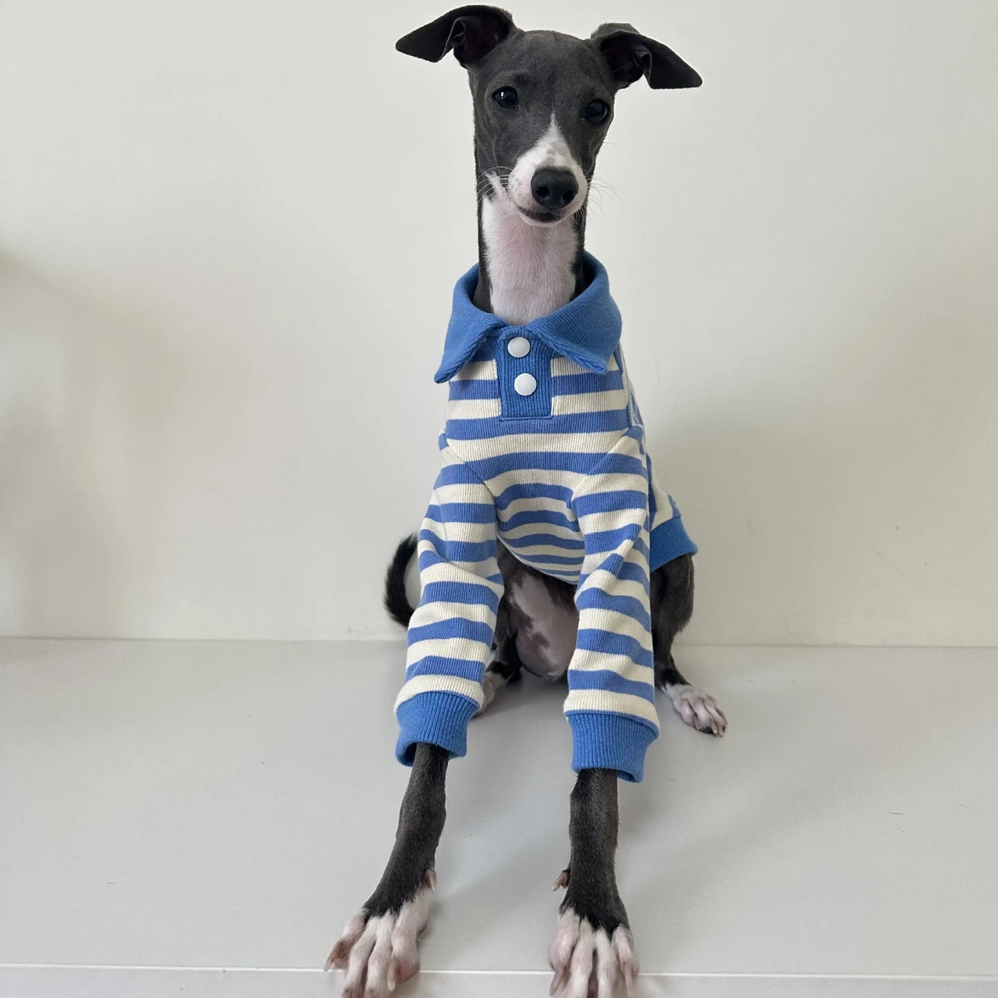 Pet POLO shirt pure cotton fabric stretch Italian Greyhound Whippet Bedlington Terrier dog clothes