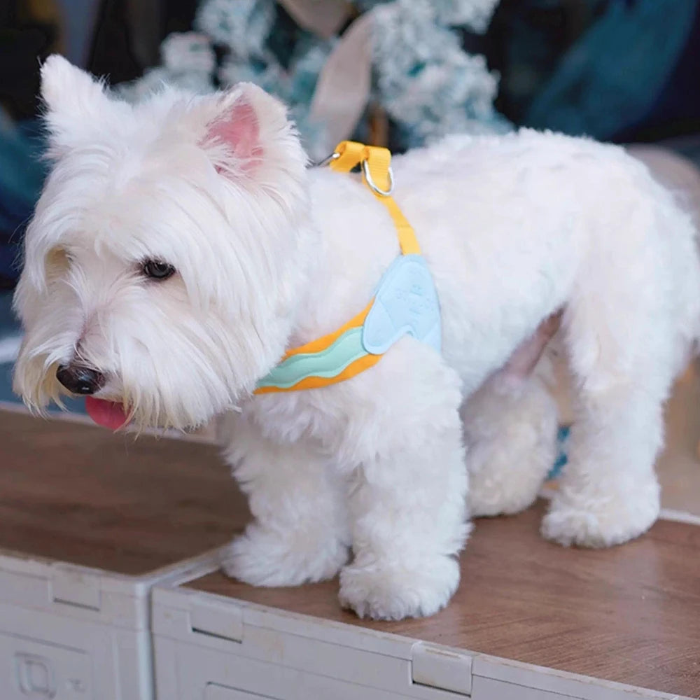 Y-shaped Dog Harness for Small Dogs Shiba Inu Puppy Chest Straps Macaron Color Matching Pet Harness Outdoor Products