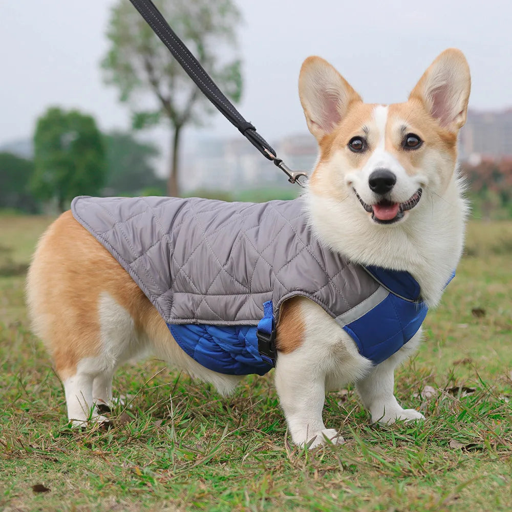 New Winter Pet Dog Clothes Thickened Fighting Dog Clothes Reflective Dog Cotton Clothes Pet Clothes