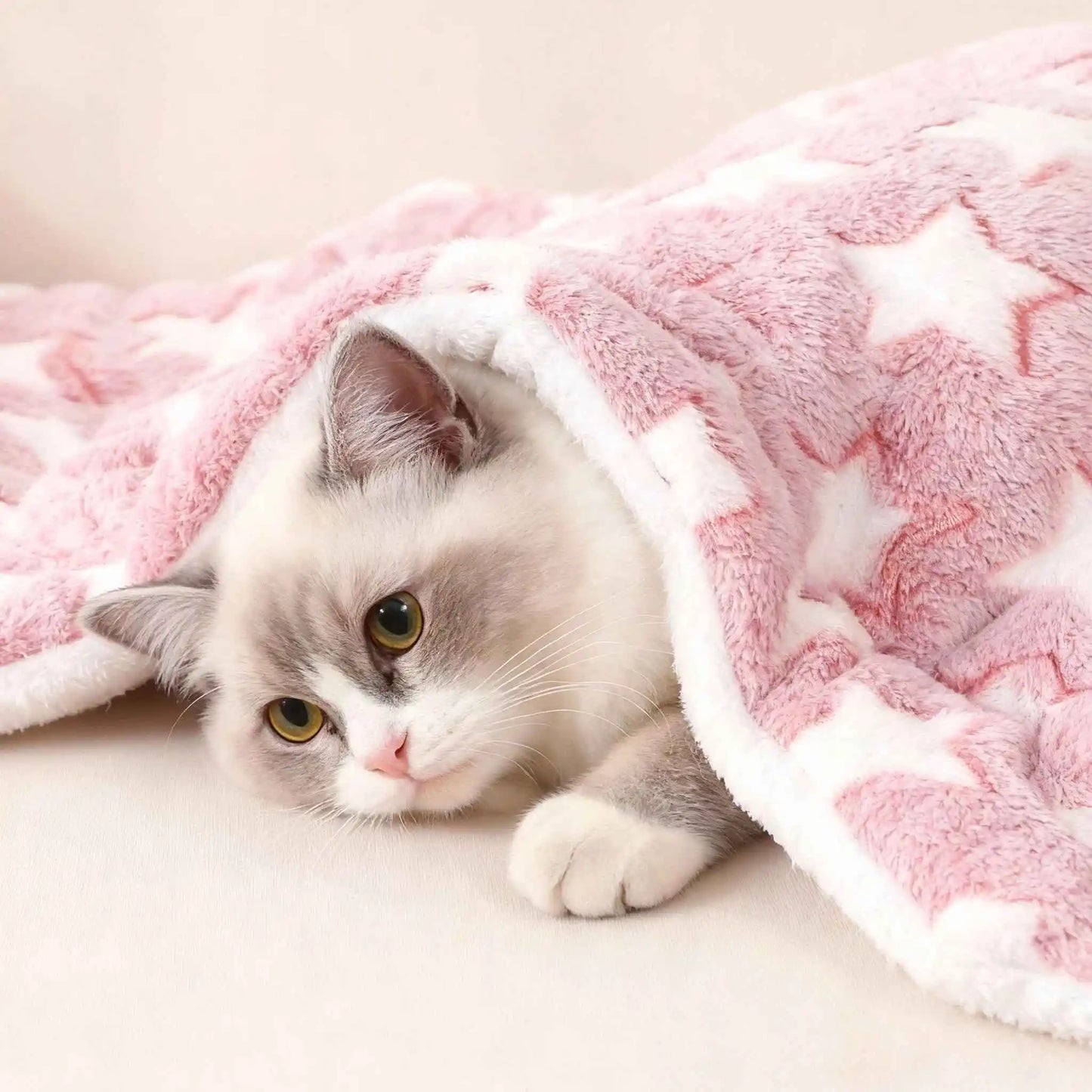 Durable Pet Blanket Plush Dog Sleeping Bed Mats Washable Cat Portable Sofa home travel suitable Warm Soft Flannel relax Towel