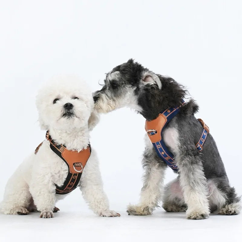 Pet Dog Harness with Durable Webbing  Anti-Deformation Alloy Ring 4 Points Adjustable Breathable Reflective Pet Leash Small Dog