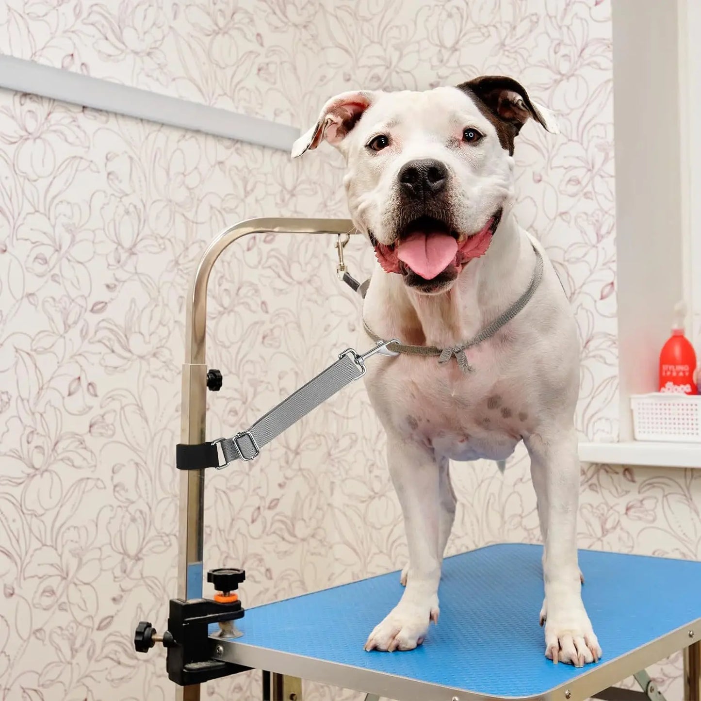 2 Pcs Pet Dog Grooming Basic Leashes Arm Accessories, Adjustable Pets Loops Extension Straps for Bathing Grooming Trimming