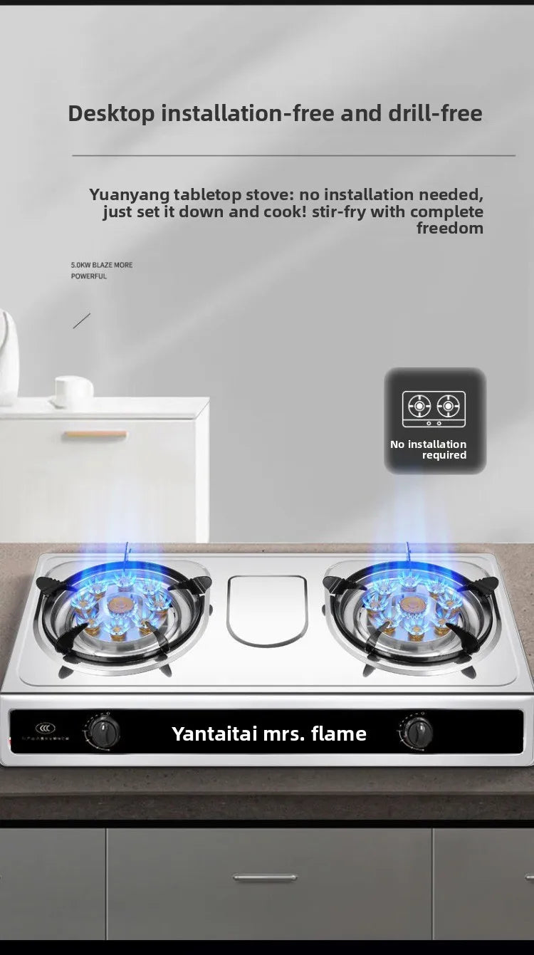 Double Burner Gas Stove Household Desktop LPG Natural Gas Energy Saving Old Style Stove abc