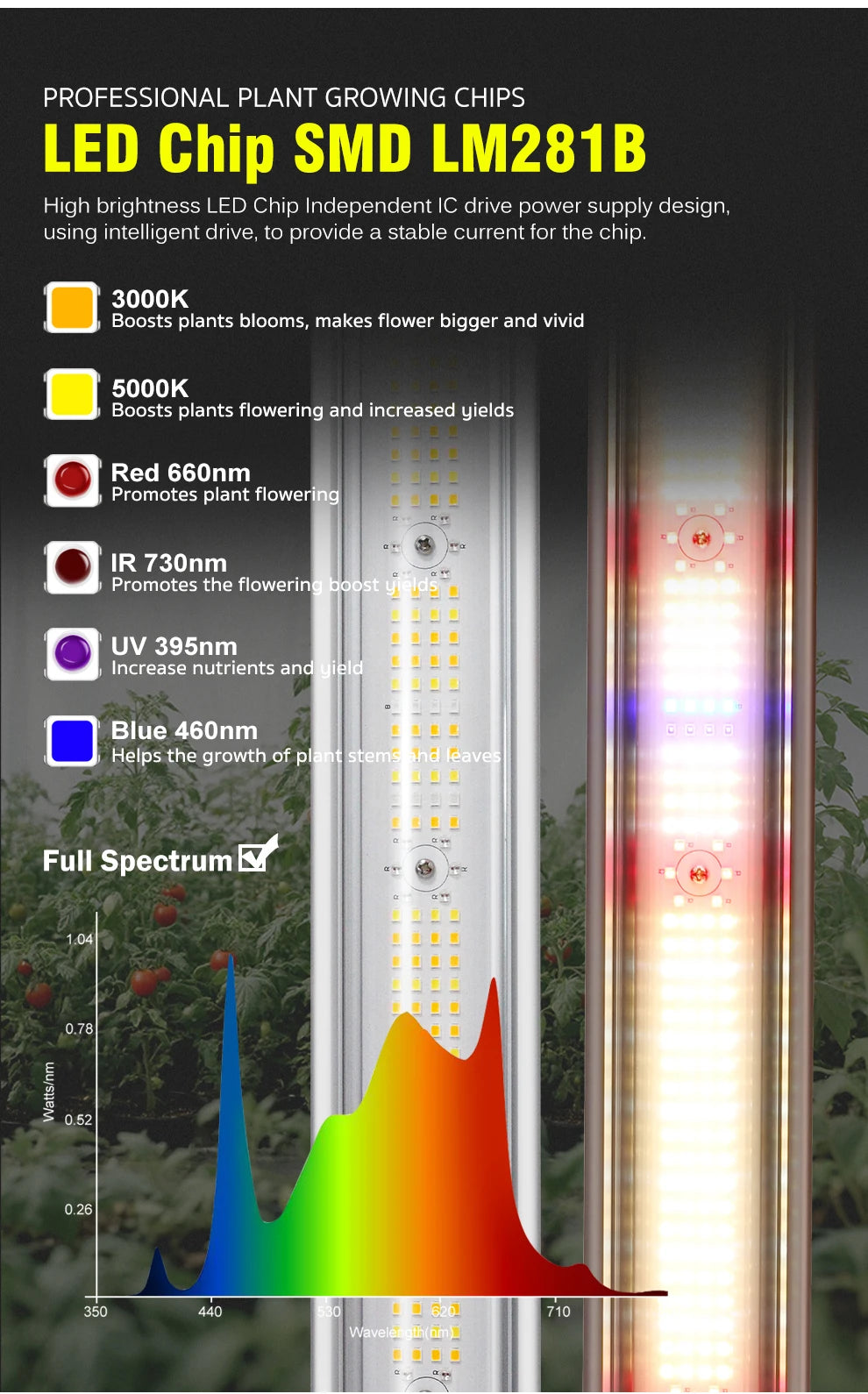Full Spectrum LED Grow Light 360W 720W AC100-277V 660nm 730nm 395nm LM281B High PPFD Growth Lamp For Greenhouse Plants