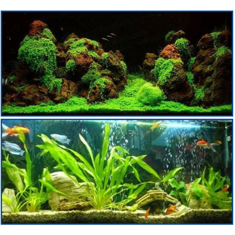 Aquarium Instant Glue 5g x 25pcs Safe Reef Glue for Plants Moss, Coral, Stone, Wood Aquascaping, Quick Drying