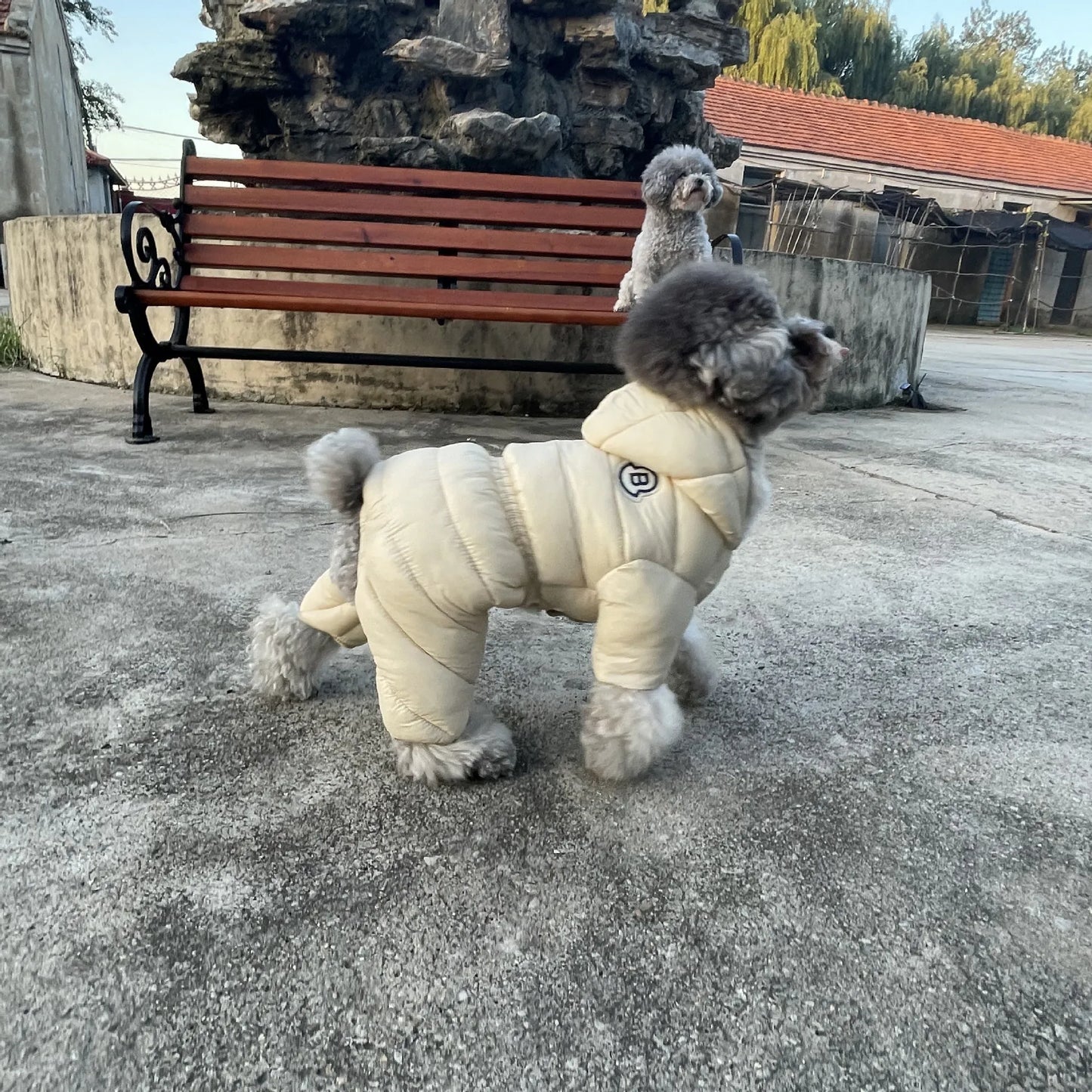Winter Dog Jumpsuits Warm Soft Dog Clothes Padded Cotton Puppy Down Jacket Fashion Solid Cat Jumpsuit Coat Chihuahua Pet Clothes