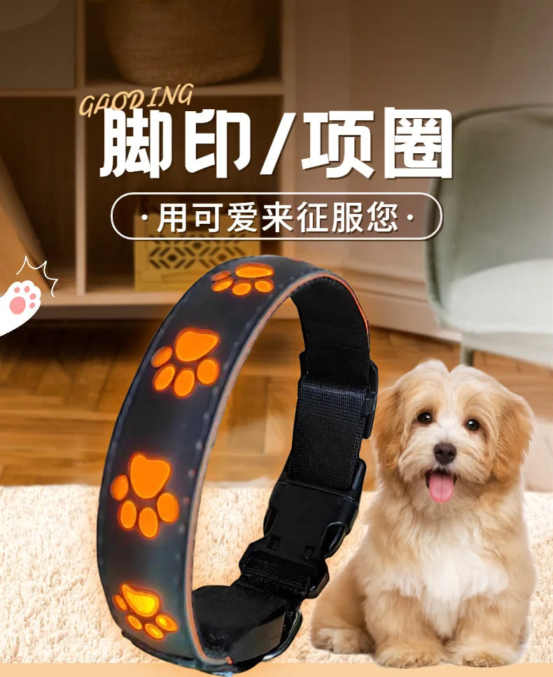 XS-L Luminous Dog Necklace Usb Glowing Small Dog Cat Collar Anti-Loss Cat Collar Safety Night Light Pet Supplies