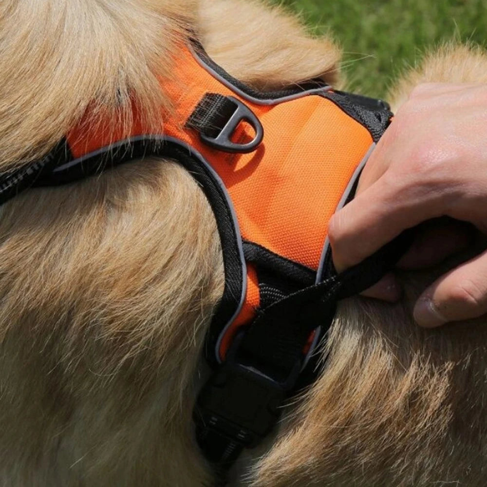 Dog Vest-Style Harness Leash, Pet Vest Leash, Four-Color Optional Nylon Material Dog Harness, Suitable for Medium and Large Dogs, Dog Harness Pet Supplies