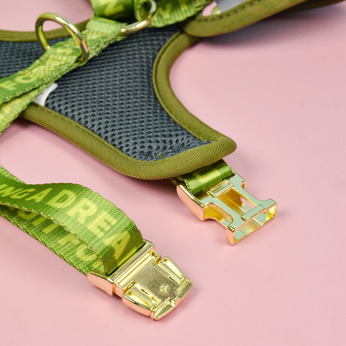 Valentine's Day and New Year's gift Cute Design Adjutable Luxury Designer Pet Harness &1 Pcs Color Matching Pet Dog Leashes