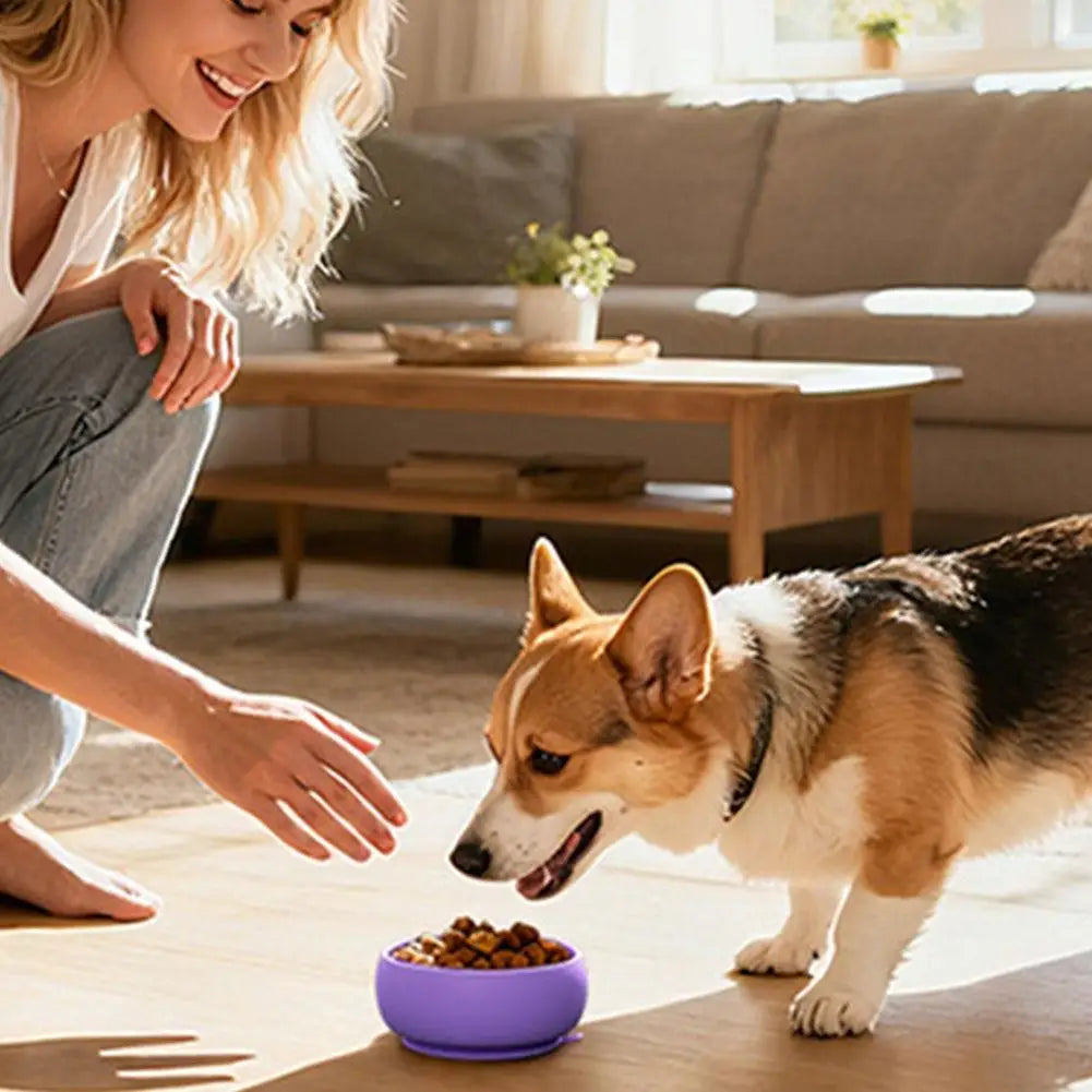 Unique Slow-feeding Reducing Dog's Overeating Bloating Dog Bowl Non-slip Anti-spill Pet Silicone Tableware Portable Feeding Bowl