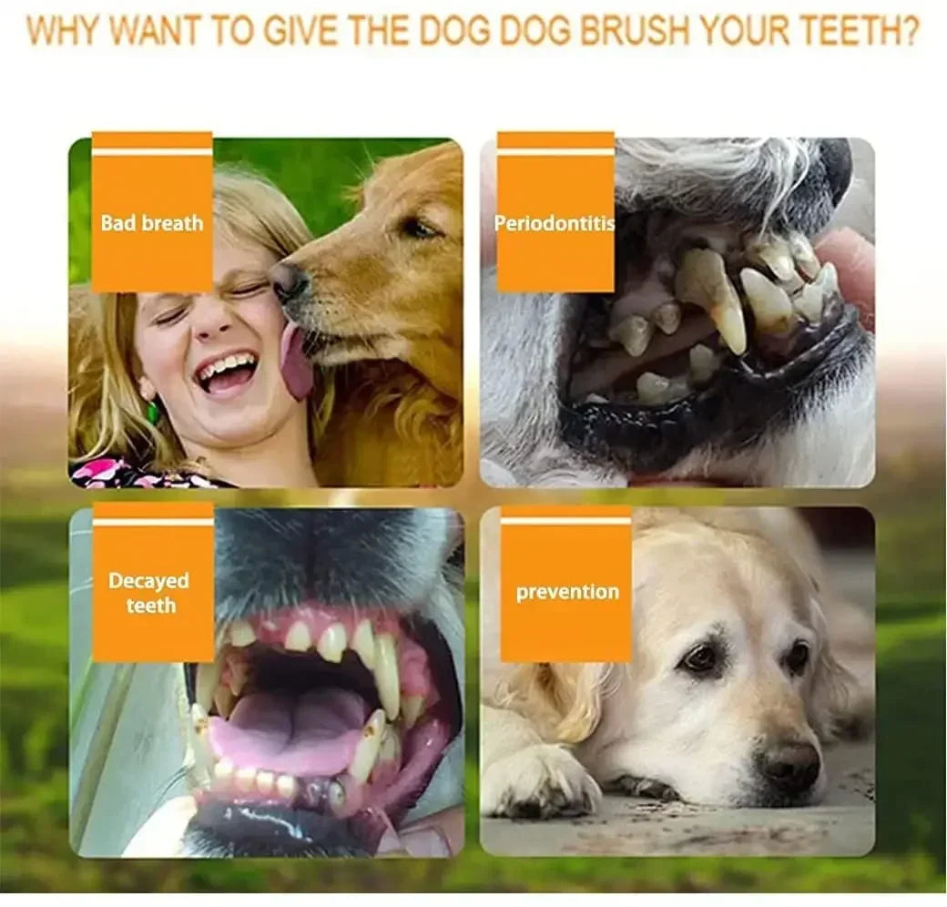 3/1pcs Pet Finger Toothbrush Pet Products Cat Toothbrush for Dog Products Teeth Cleaning for Small Dogs Cats Clean Teeth Puppy