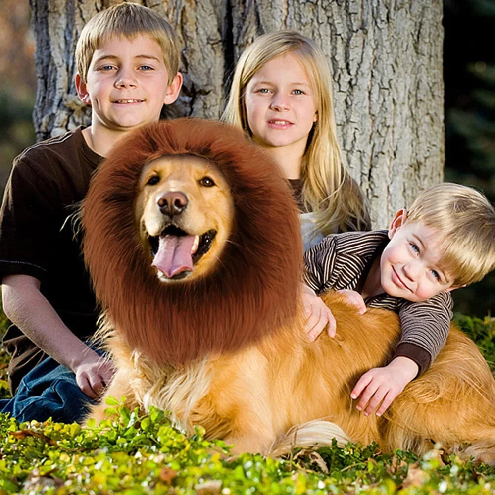 Cute Pet Dog Cosplay Clothes Lion Mane For Dog Costumes Realistic Lion Wig For Medium to Large Dogs With Ear Pet Accessories