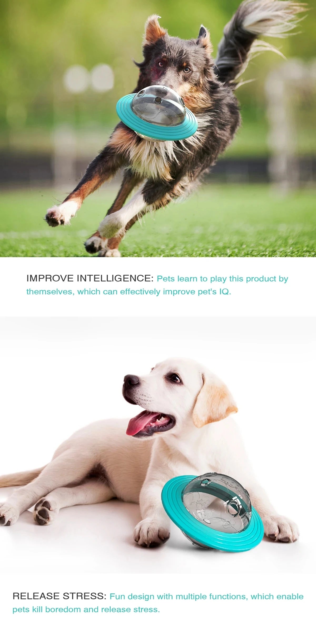 Slow Feed Dog Toy For Small Medium Large Dogs Cats Funny Interactive Improve IQ Puppy Planet Toys Chihuahua Beagle Pet Supplies