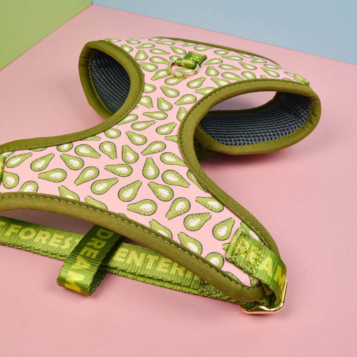 Valentine's Day and New Year's gift Cute Design Adjutable Luxury Designer Pet Harness &1 Pcs Color Matching Pet Dog Leashes