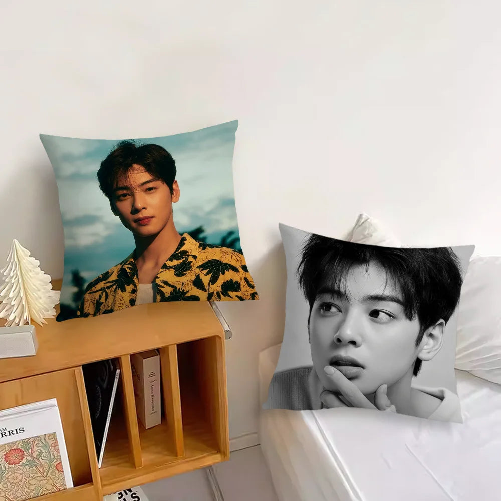 Korea Singer C-Cha Eun Woo Cushion Cover Sofa Living Room Bedroom Headboard Backrest Cushion Square Cushion Nap Time Pillow Case
