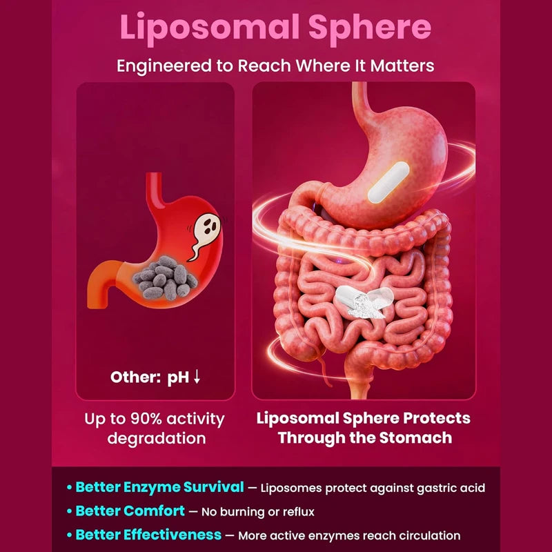 Liposomal Enzyme Blend Capsules Nattokinase Vitamin C B6 Magnesium, Support  Vascular, Enhance Digestion & Circulation  Health