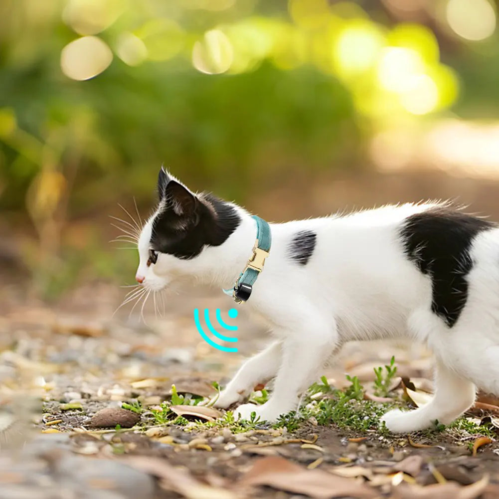 Smart Cat Collar with Bell Personalised Pet Accessories GPS Pet Locator Pet Tracking Collar Device Anti-lost for Cats Dogs