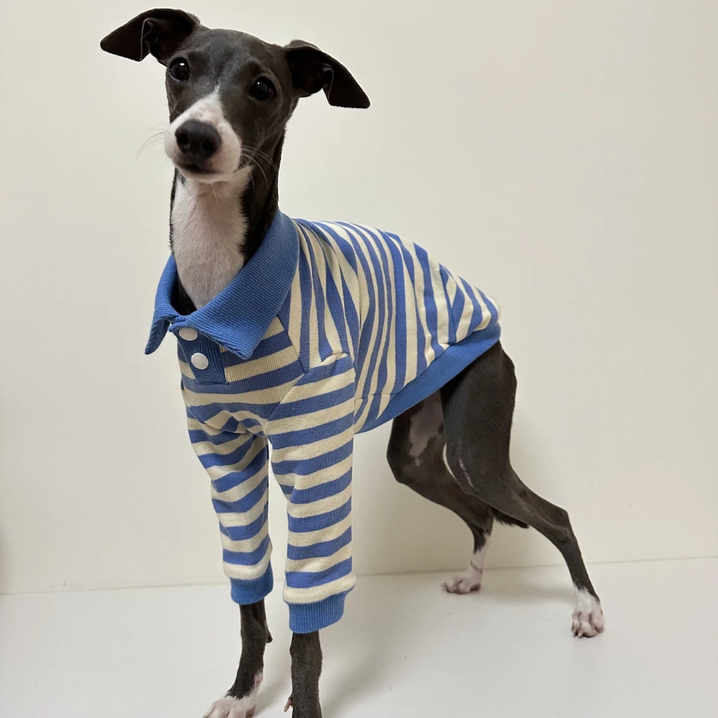 Pet POLO shirt pure cotton fabric stretch Italian Greyhound Whippet Bedlington Terrier dog clothes