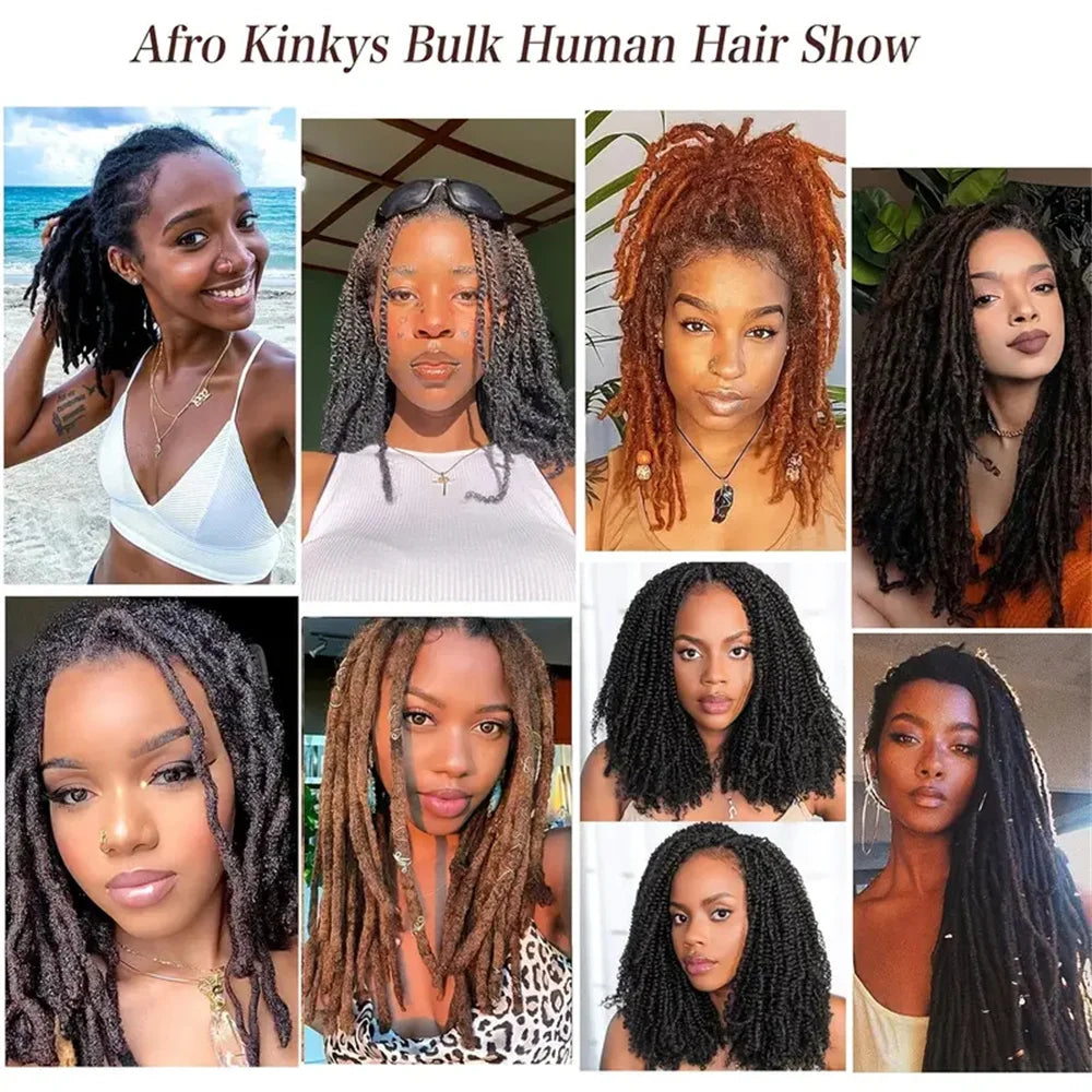 Brazilian Hair Afro Kinky Curly Wave 100% Human Hair Bulk For Braiding Twists Hair For Micro Twist Afro Kinky Hair Extension
