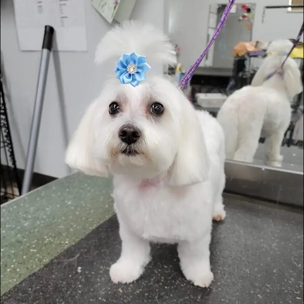50/100pcs Bright Fashion Pet Dog Hair Bows Pet Hair Remover Hand-made Exquisite Pet Bows Supplies Pearls Pet Hair Accessories
