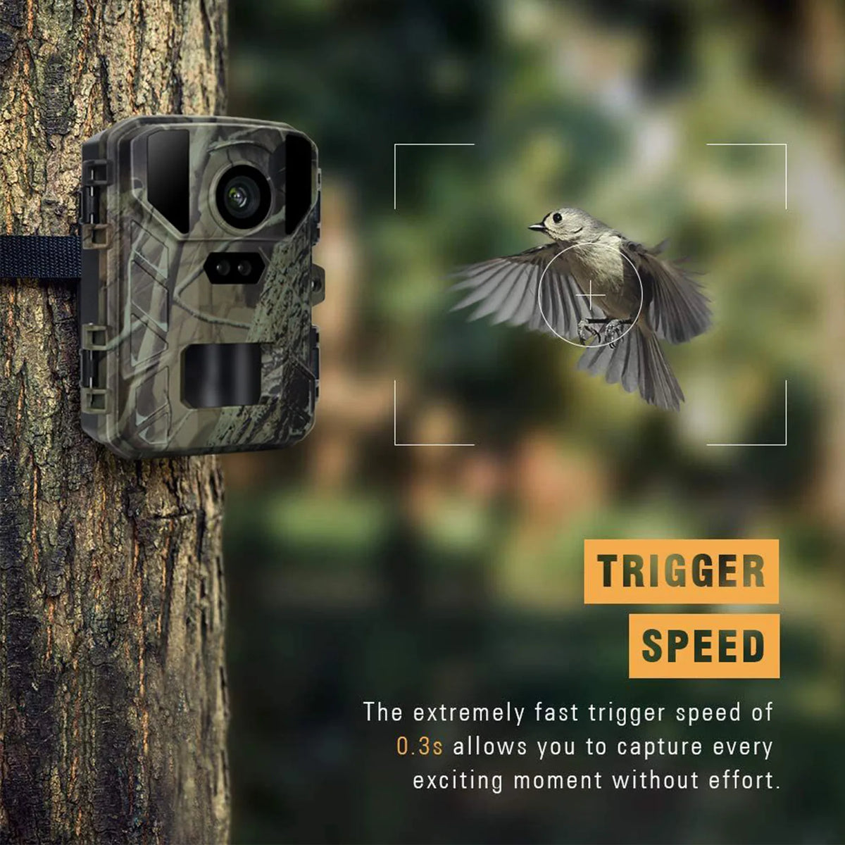 24MP 4K1080P Mini Trail Hunting Camera Wildlife Night Vision Wild Hunter Cam Mini800 Photo Trap Surveillance Tracking