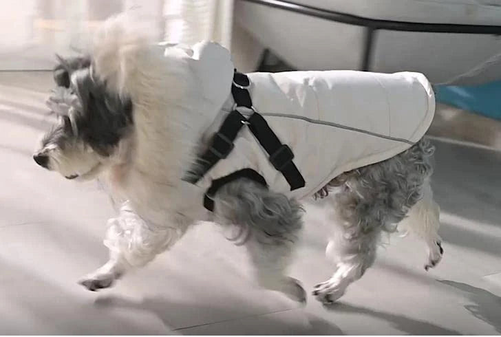 Dog Coat Winter Dog Jacket Dog Vest Clothing Dog Harness Coat Small Dog Harness Puppy Vest Harness Winter Dog Coat with Harness