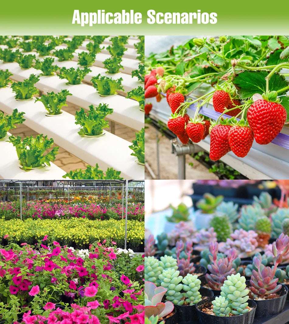 200W LED Grow Light Full Spectrum Quantum Board Plant Cultivation Lamp For Indoor Potted Flower Greenhouse Tent Tomato Vegetable