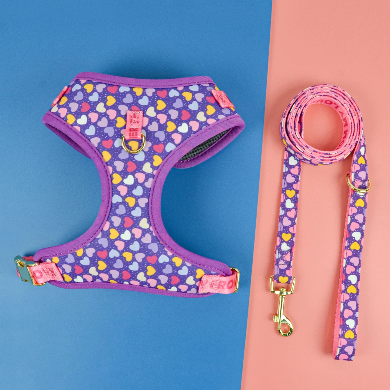 Valentine's Day and New Year's gift Cute Design Adjutable Luxury Designer Pet Harness &1 Pcs Color Matching Pet Dog Leashes