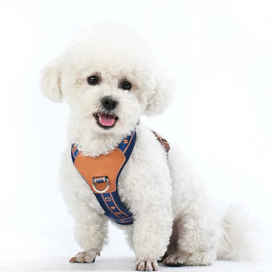 Pet Dog Harness with Durable Webbing  Anti-Deformation Alloy Ring 4 Points Adjustable Breathable Reflective Pet Leash Small Dog