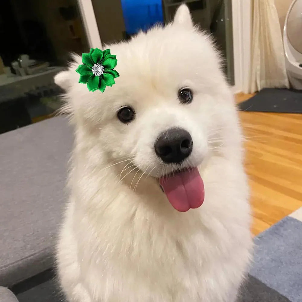 50/100pcs Bright Fashion Pet Dog Hair Bows Pet Hair Remover Hand-made Exquisite Pet Bows Supplies Pearls Pet Hair Accessories