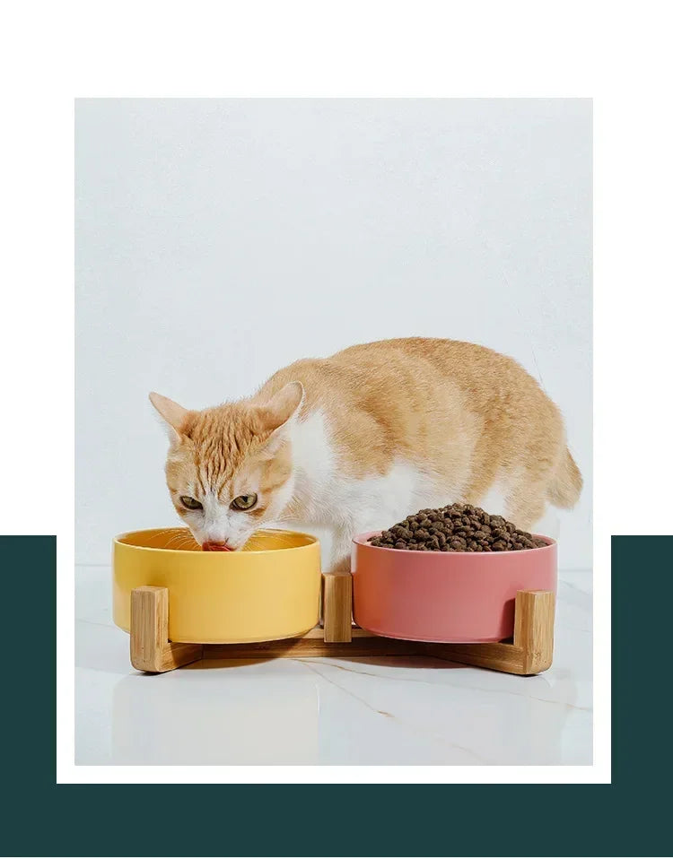 Self-Assembly Ceramic Double Cat Bowl Dog Bowl 400ML Pet Feeding Water Bowl Cat Puppy Feeder Product SuppliesFood Water Bowls