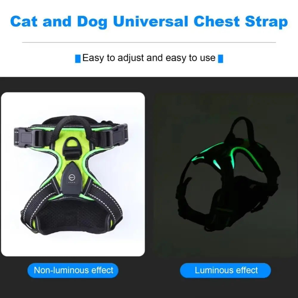 Light Up LED Dog Harness Rechargeable Adjustable Luminous Pet Chest Strap Padded Collar Soft Dog Glow Vest for Night Walking